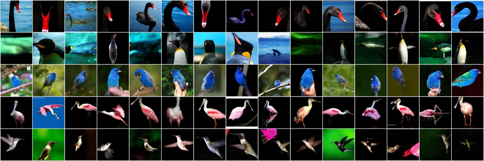 DiT epsilon-prediction guided bird samples showing collapsed, artifact-ridden images.