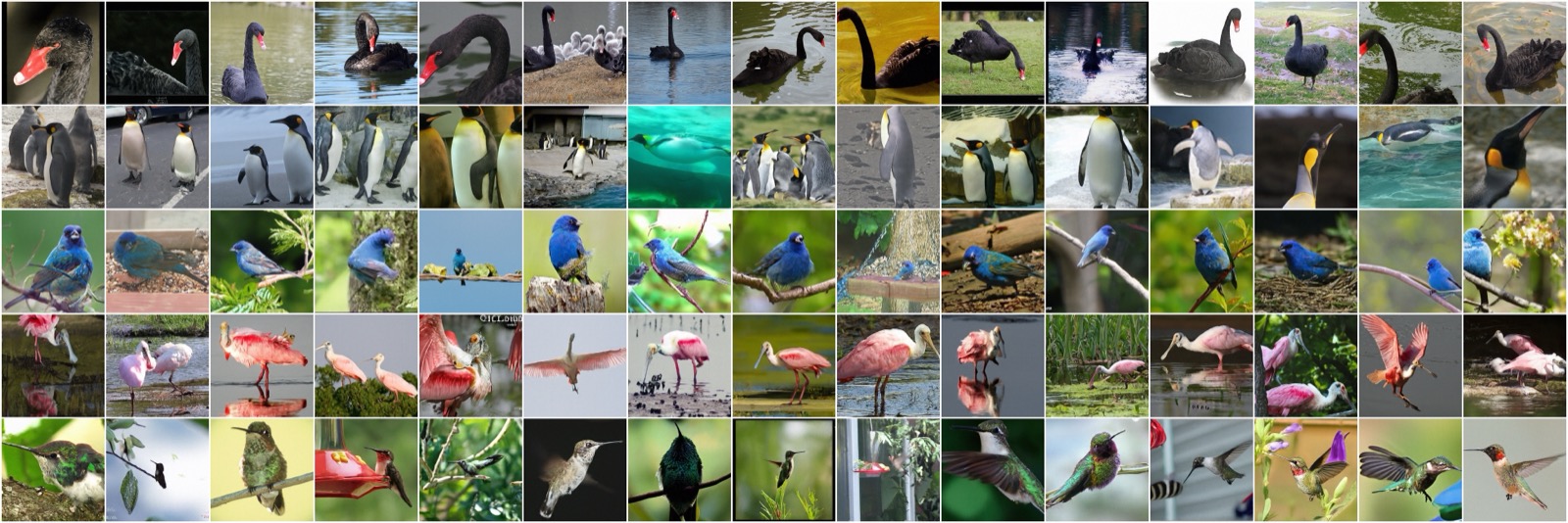 JiT x-prediction guided bird samples remaining on-manifold and realistic.